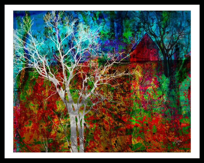 fine art print by artist Rob Shaw