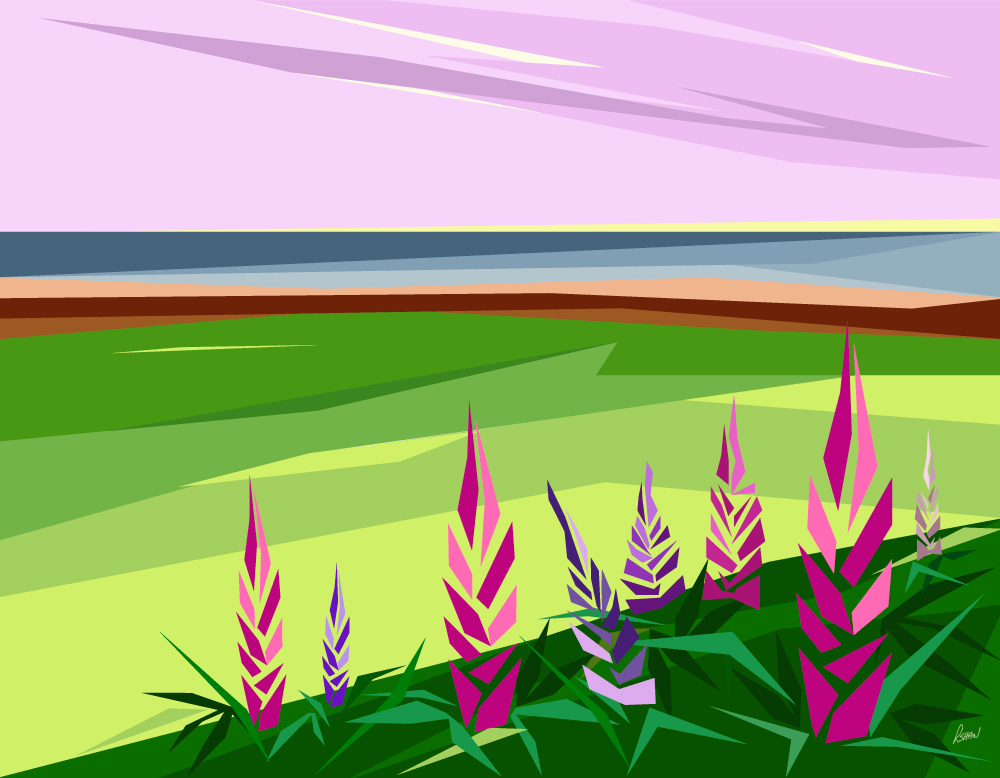 original illustrations by artist Rob Shaw, Island Lupins