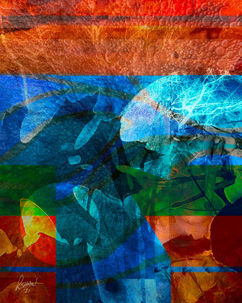 fine art print by artist Rob Shaw