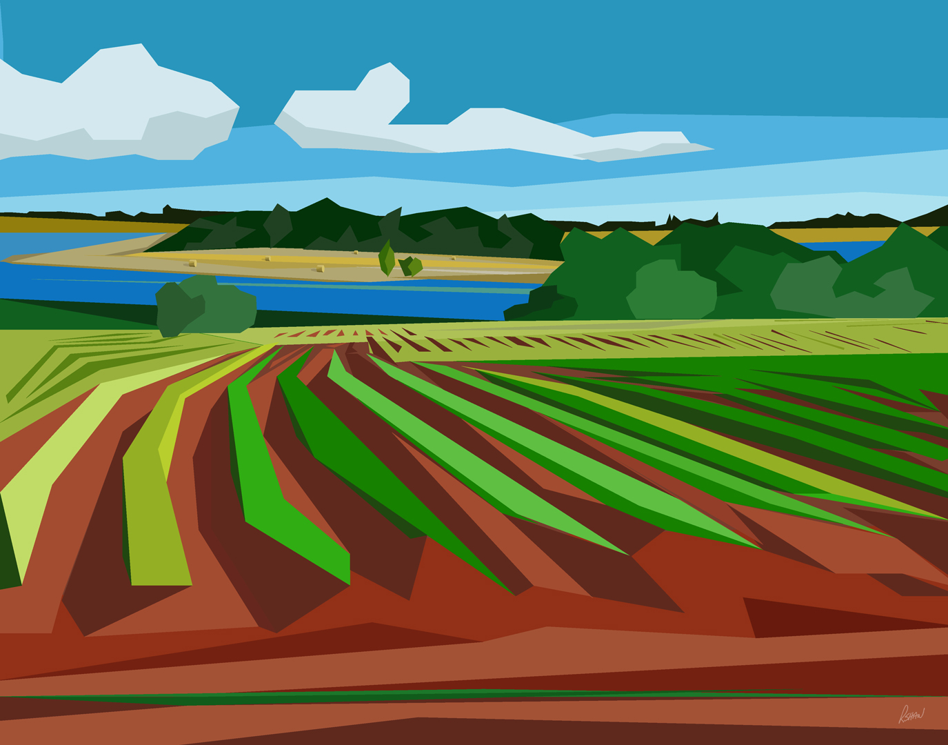 Rows and Rows by artist Rob Shaw